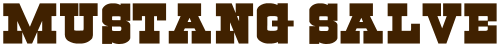 Mustang Salve
